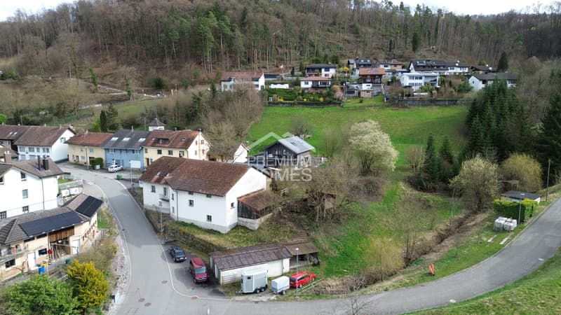 Grosses Bauland mit Entwicklungspotenzial (4)