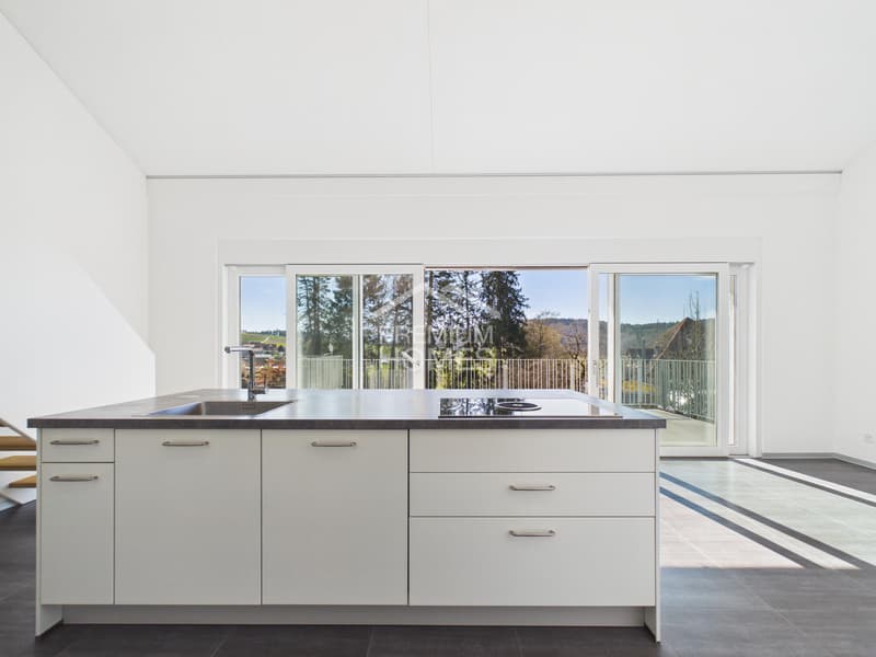 Modern living on the edge of the forest (9)