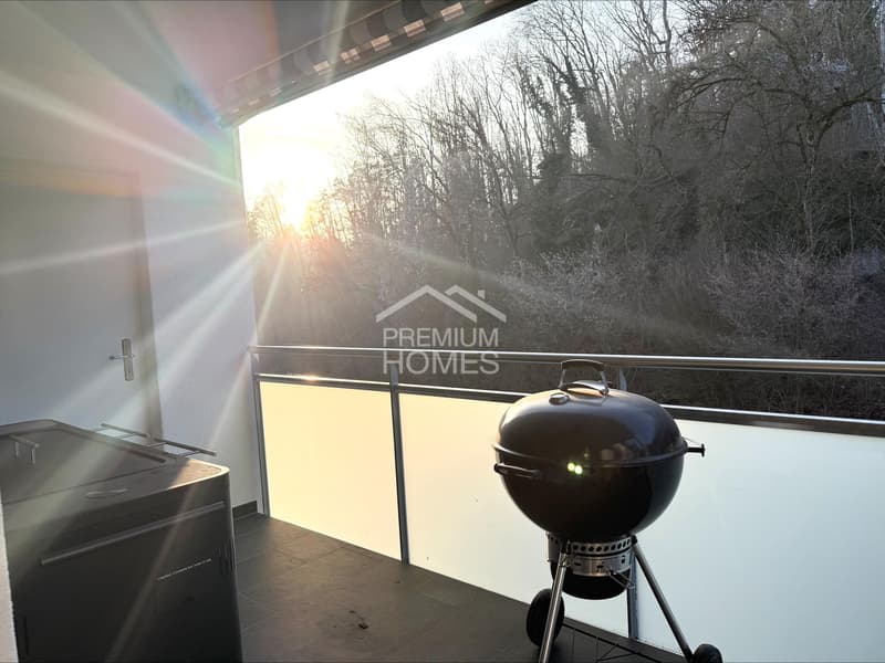 Pépite d'habitation dans un emplacement attractif (6)