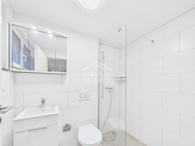 Premier occupant après rénovation du noyau (6)