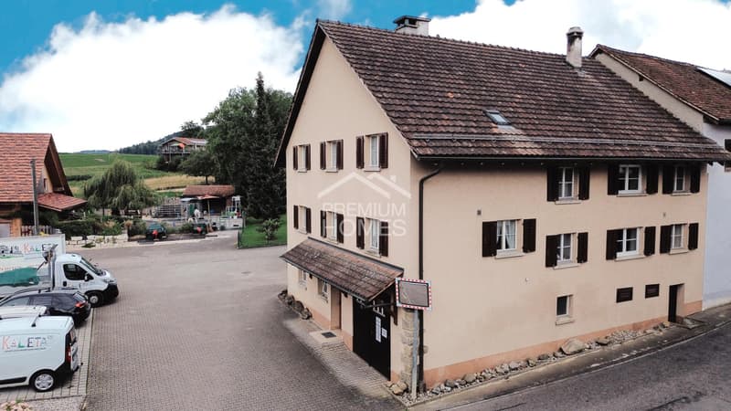 Double Potential: One House Ready to Move in, One for Redesign (11)