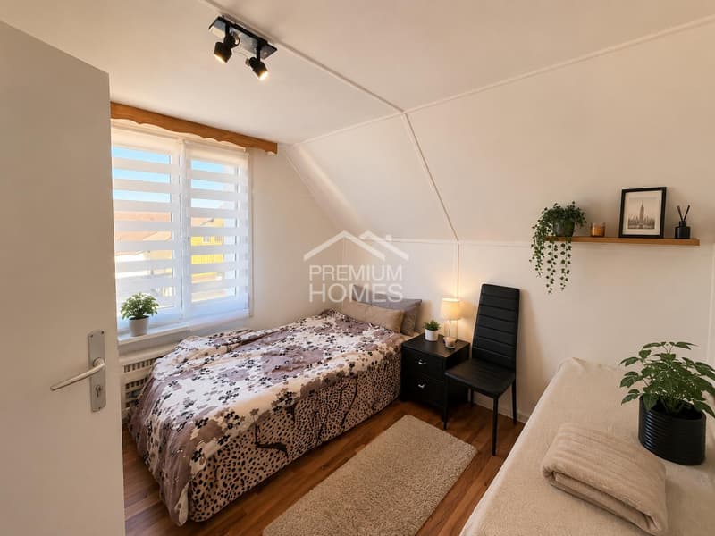 Attractive investment object with potential (6)