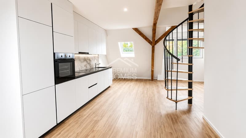 Investimento di capitale attraente a Olten - Casa di 5 famiglie completamente affittata (9)