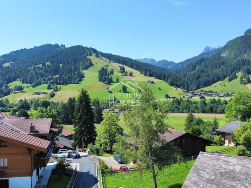Timeless Treasure on Saanen's Terrace (11)