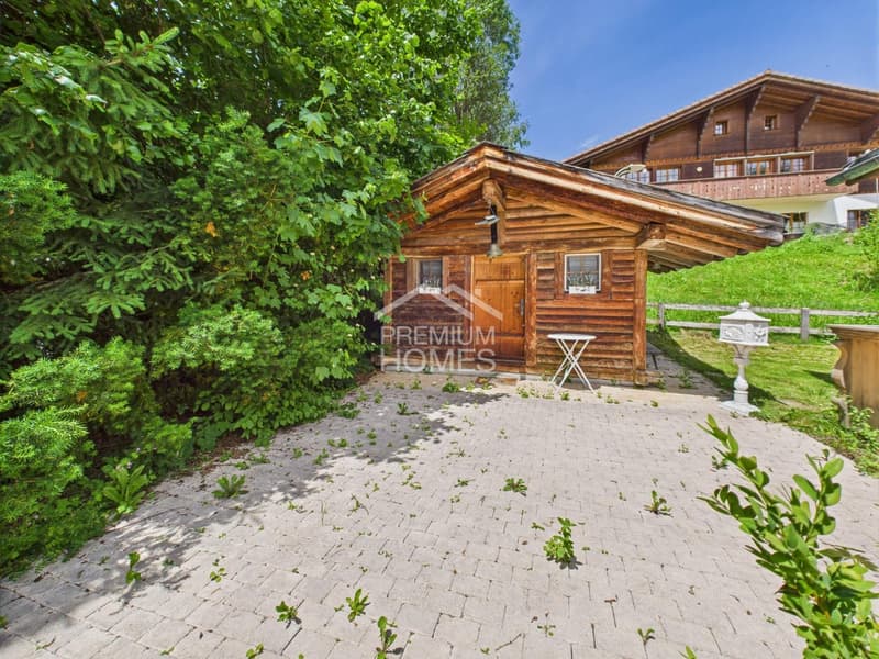 Timeless Treasure on Saanen's Terrace (4)