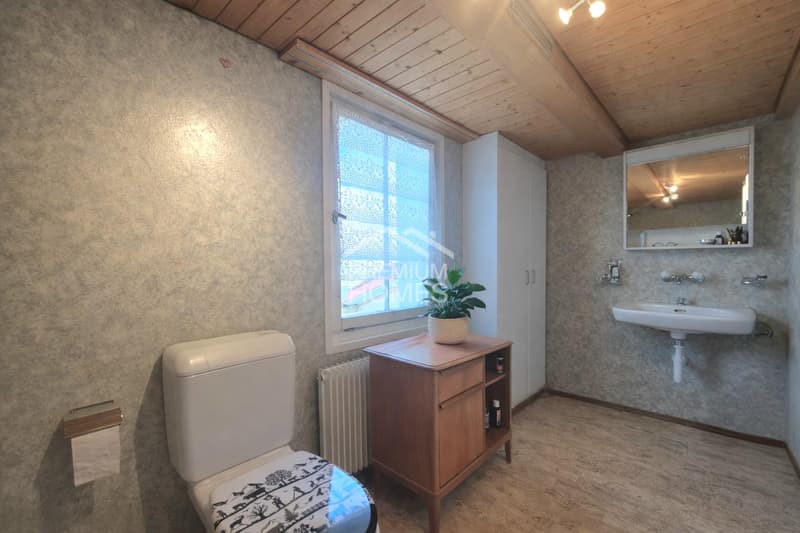 Charmantes Zuhause mit Bodenseeblick (5)