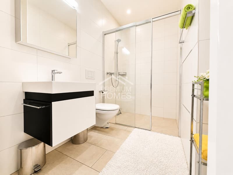 Einmalige und exklusive, Wohnung im Herzen Basels (10)