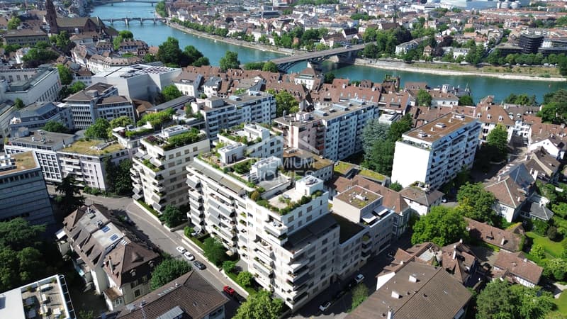 Einmalige und exklusive, Wohnung im Herzen Basels (2)