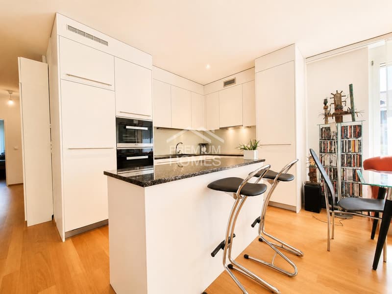 Einmalige und exklusive, Wohnung im Herzen Basels (4)