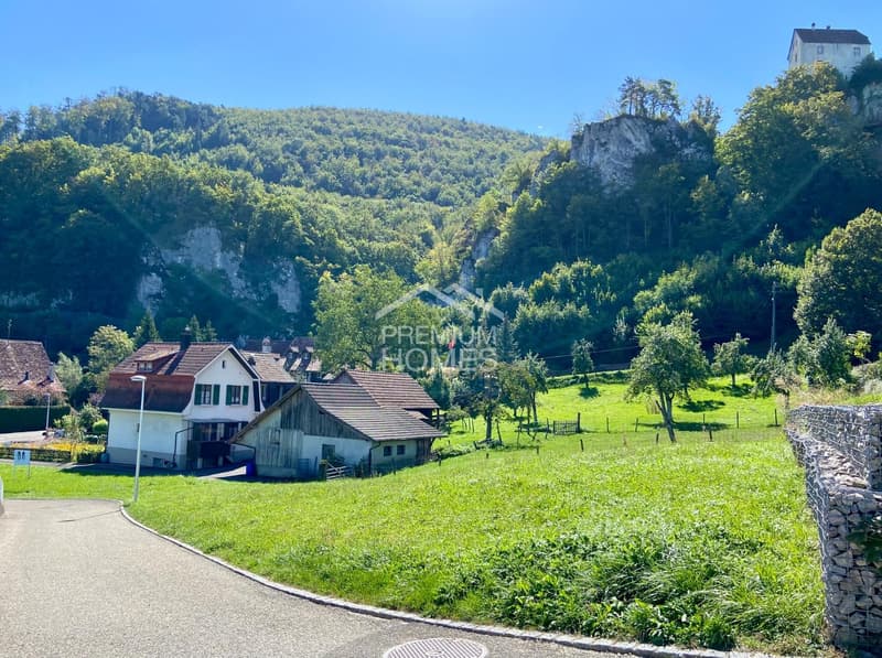 Tiny House willkommen! (1)