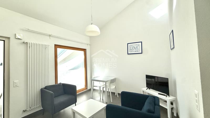 Immeuble de rendement avec 6 appartements et un commerce (3)