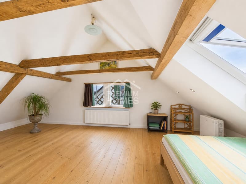 EFH mit Einliegerwohnung & Wellnessbereich - 4.5% Rendite möglich (4)