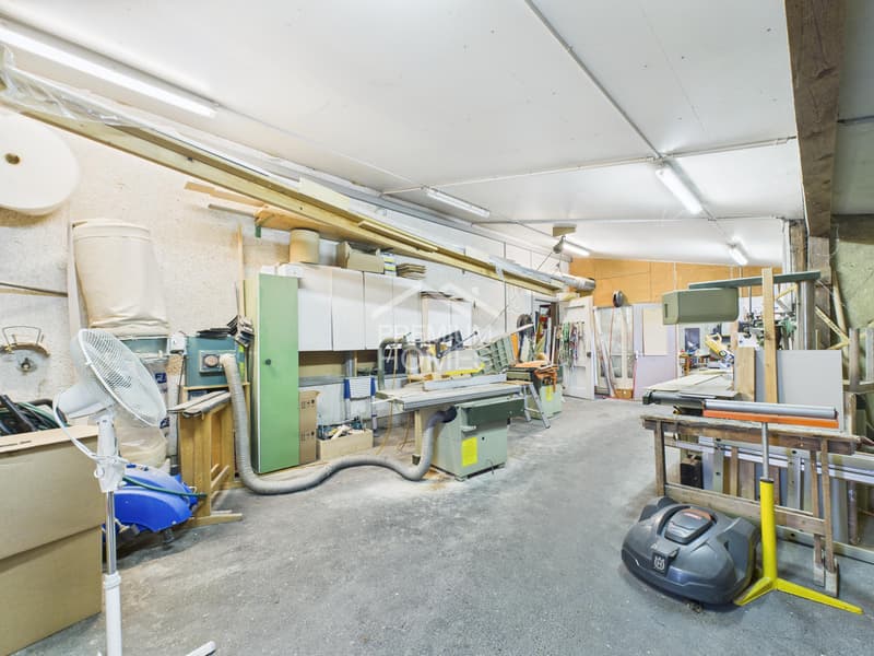 Grosszügige Gewerbeliegenschaft mit Wohnhaus (2)