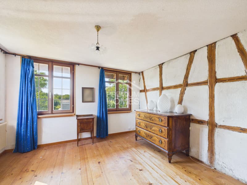 Historisches Fachwerkhaus mit grossem Grundstück (3)