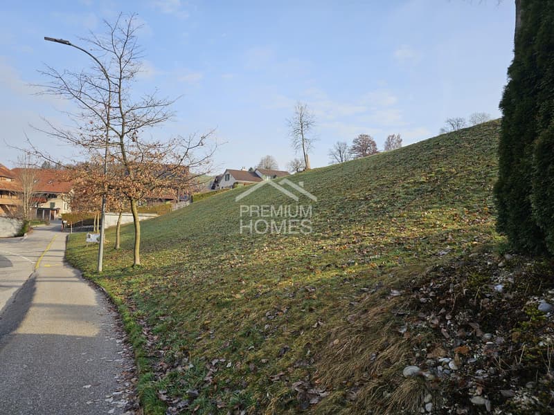 Bauland mit Weitsicht (5)