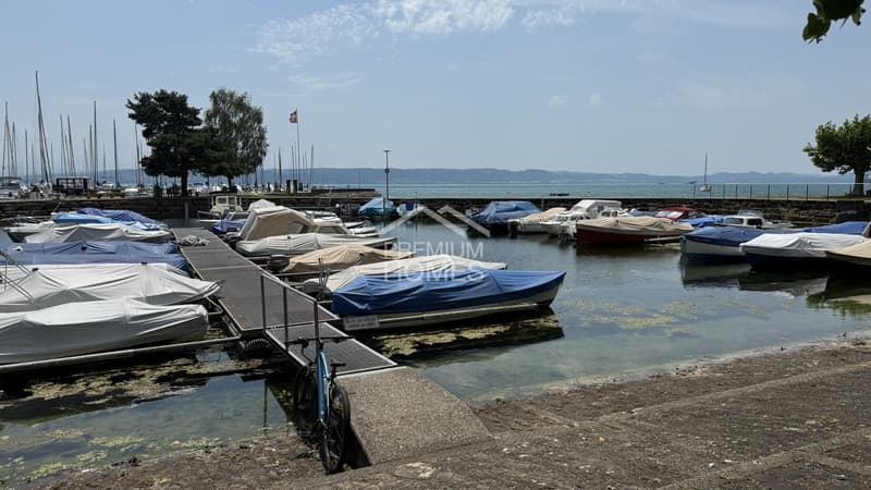 Entre lac, nature et architecture contemporaine (10)