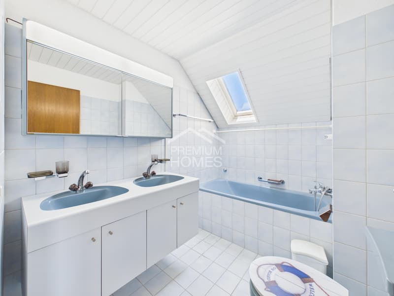 Charmante Duplex Dachwohnung (13)