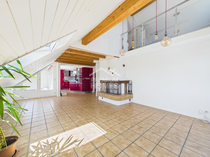 Charmante Duplex Dachwohnung (5)