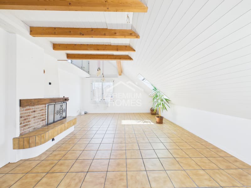 Charmante Duplex Dachwohnung (6)