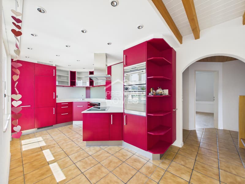 Charmante Duplex Dachwohnung (7)