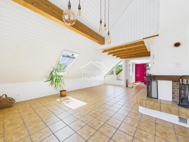 Charmante Duplex Dachwohnung (1)