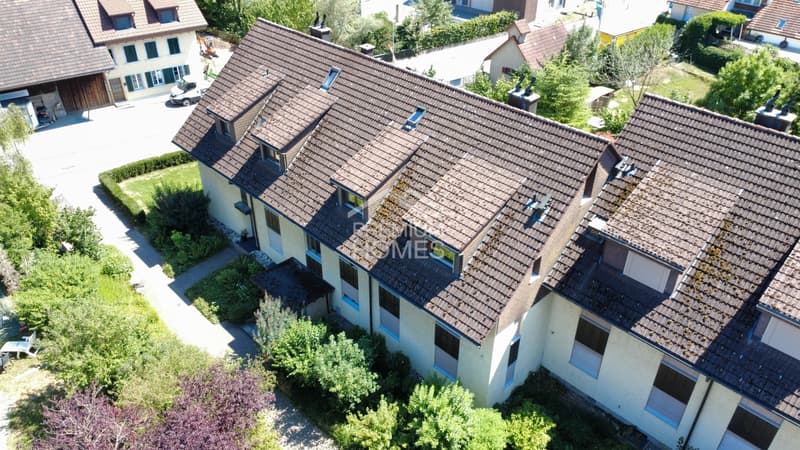 Charmante Duplex Dachwohnung (3)