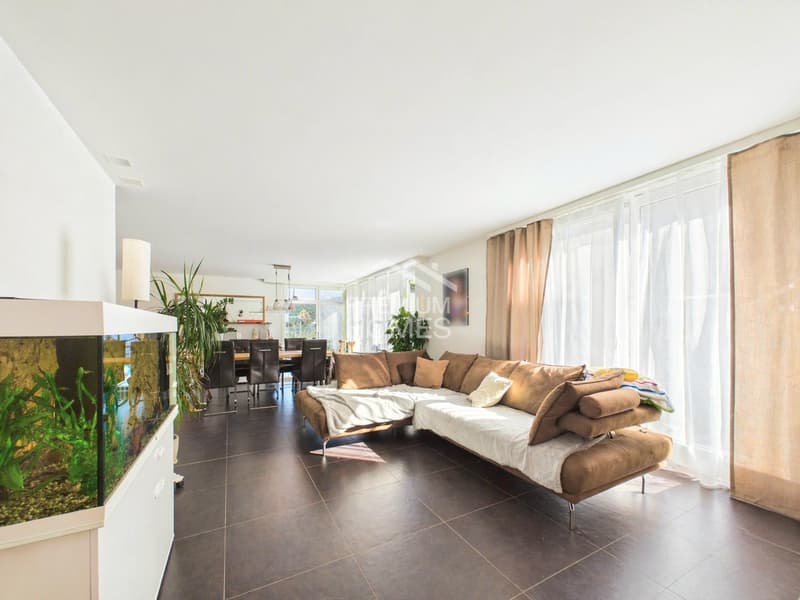 Modernes Zuhause mit Energieplus (1)