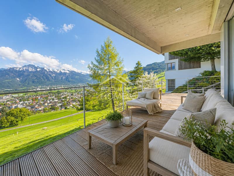 Unverbaubarer Weitblick über das Rheintal (8)