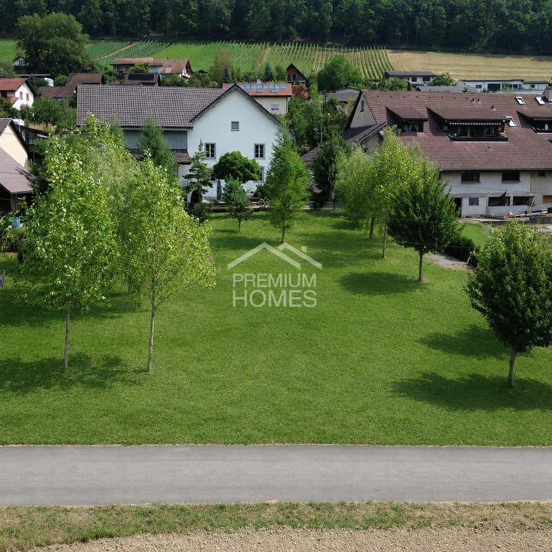 Eine Gelegenheit, die selten geworden ist (4)