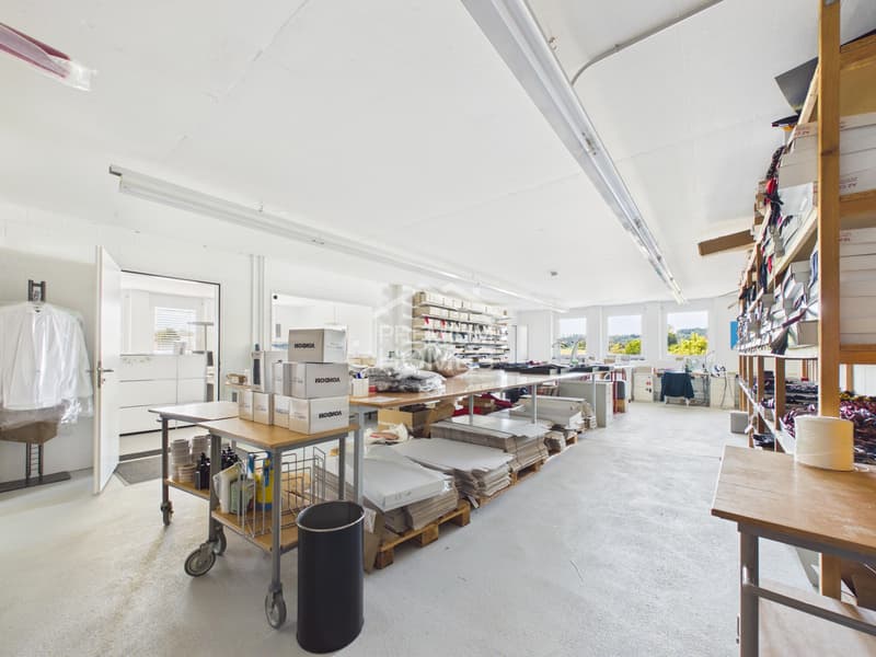 Viel Raum für Ihre Geschäftsidee - Büro, Showroom & Lager (6)