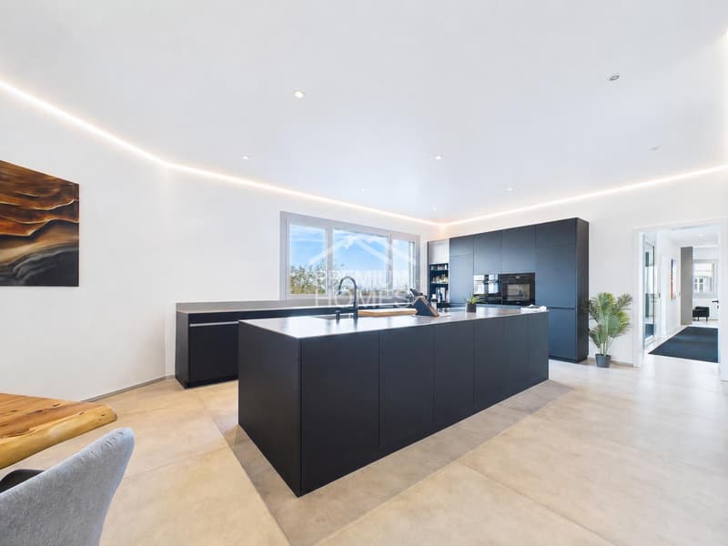 ARCHITEKTONISCHE MEISTERWOHNUNG MIT BODENSEEBLICK (3)
