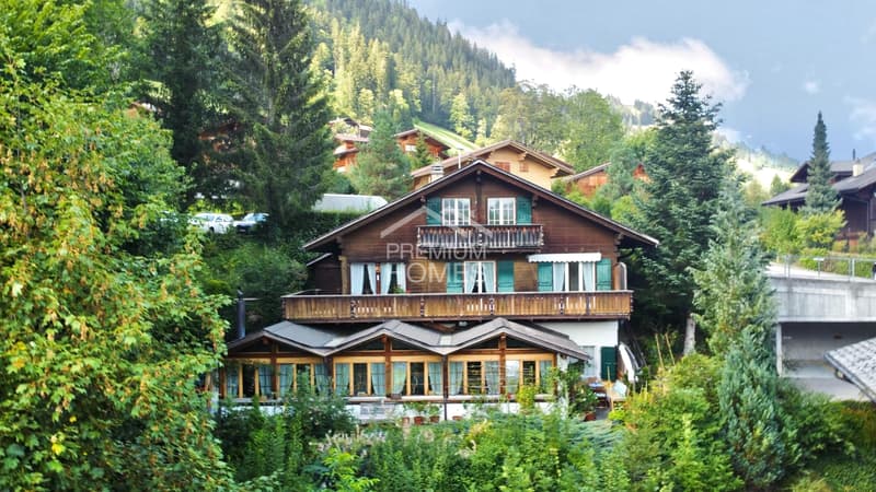 Ein Chalet, zwei Einheiten, viele Möglichkeiten - Ihre Chance! (1)