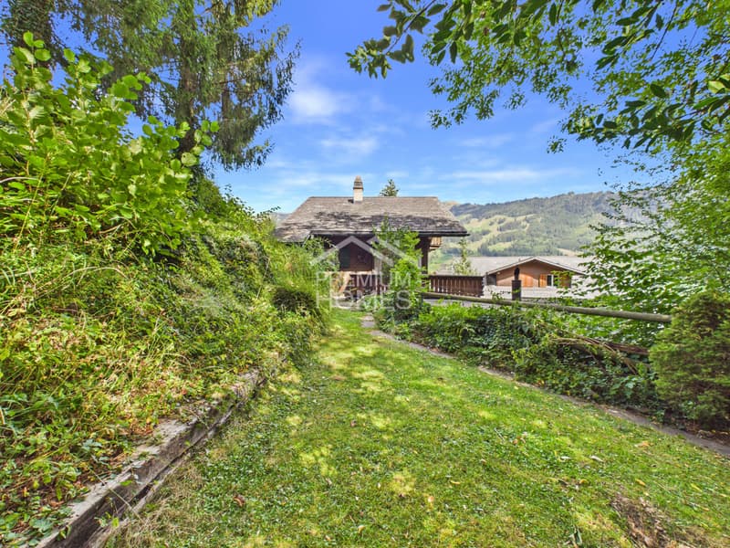 Ein Chalet, zwei Einheiten, viele Möglichkeiten - Ihre Chance! (12)