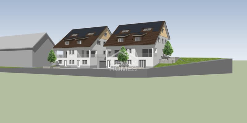 Bewilliges Projekt - Letzte Gelgenheit (2)