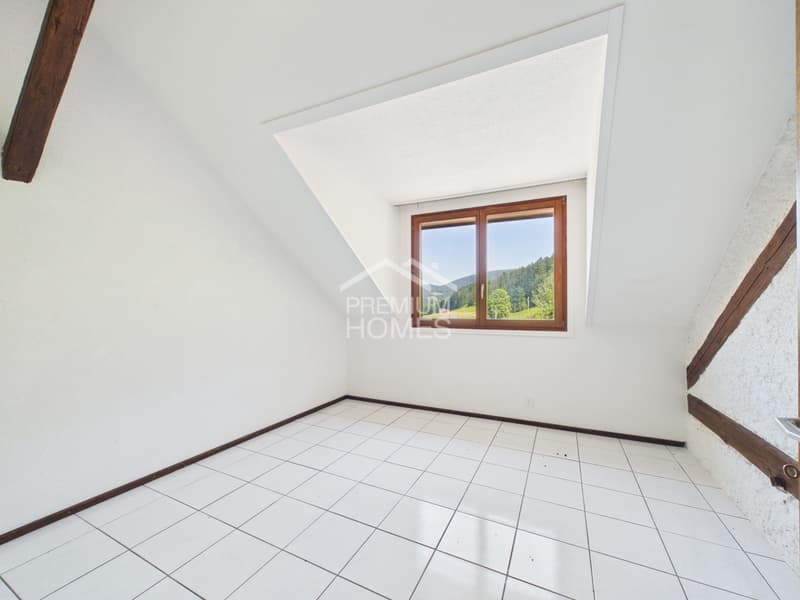 Trois appartements au coeur de la nature (13)