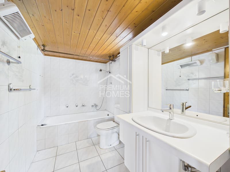 Trois appartements au coeur de la nature (5)