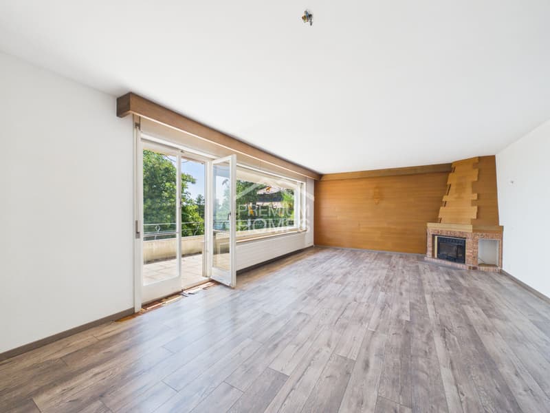 Vue sur le lac, villa à rénover ou projet immobilier d'exception (3)