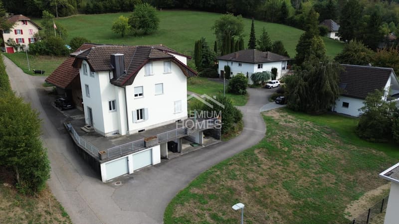 Grosses Bauland mit Entwicklungspotenzial & saniertem Mehrfamilienhaus (2)
