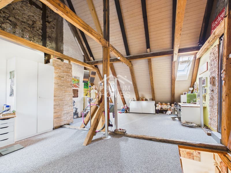 MAISONETTE - CHARAKTER IM HERZEN DER ALTSTADT (10)