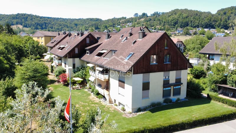 Einzigartig wohnen - grosszügige Duplex-Dachwohnung mit Cheminée (3)