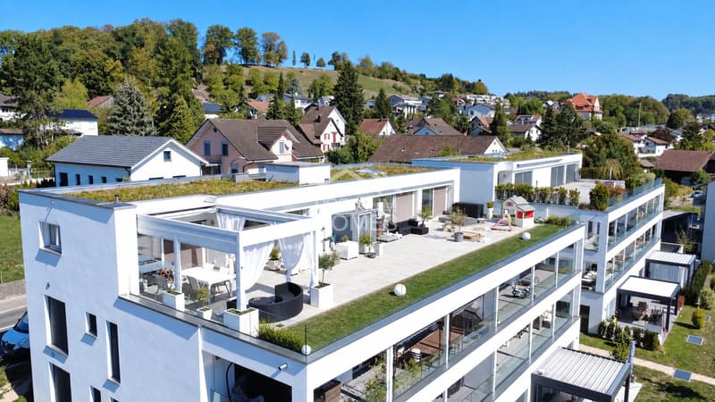 Exklusive Attika mit Feriengefühl & XXL-Terrasse (3)