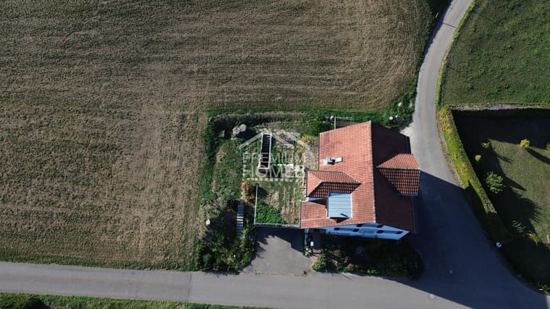 Ein Rohdiamant mit Weitblick! (2)