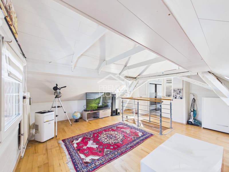 Zentrale Wohnperle mit Einnahmequelle (4)