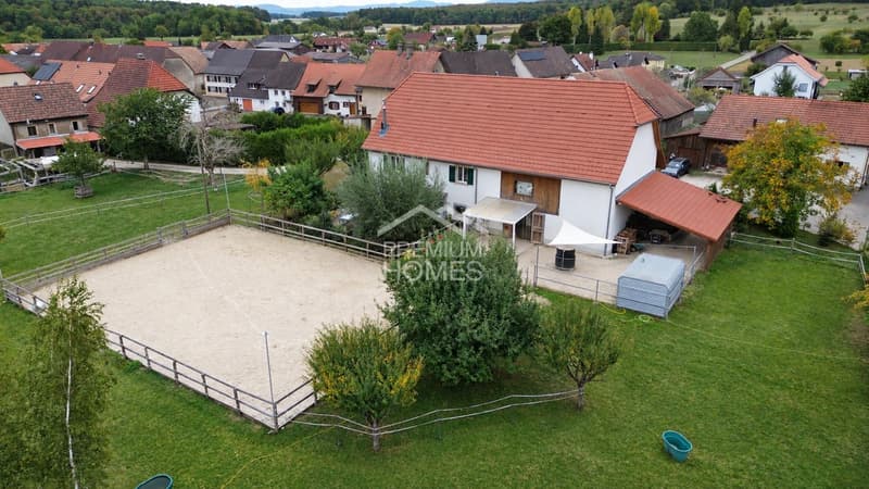 Wo Ihre Pferde genauso zuhause sind wie Sie (1)