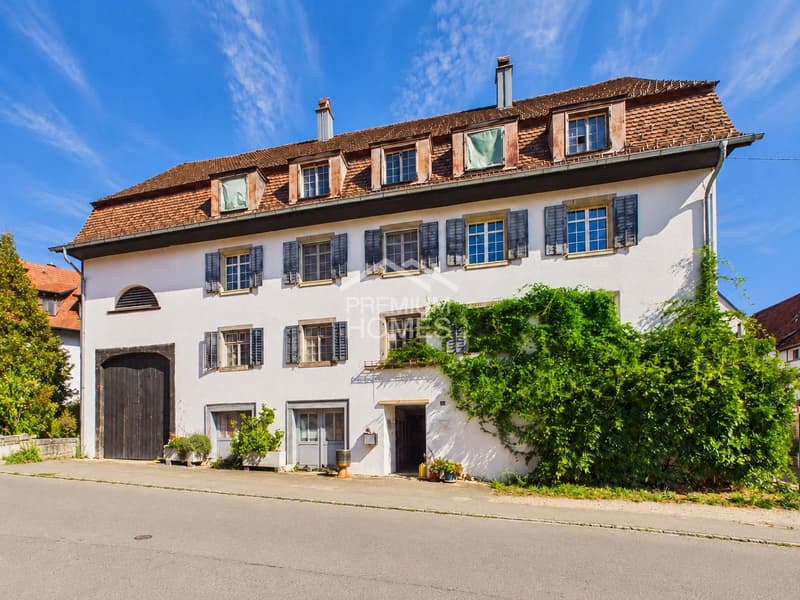 Naturidylle trifft Potenzial - ein Paradies für Familien und Handwerke (13)
