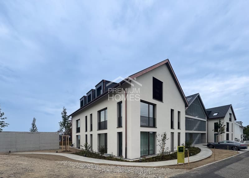 MODERNE ATTIKAWOHUNG MIT TRAUMHAFTER BERGKULISSE (1)