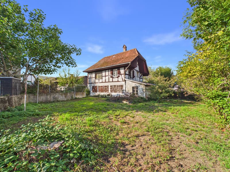 Gestalten Sie Ihr zu Hause neu (1)