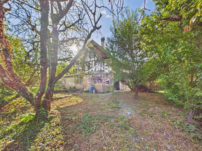 Gestalten Sie Ihr zu Hause neu (5)