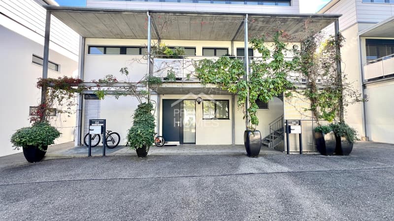 Wohnen und Arbeiten perfekt kombiniert mit Einliegerwohnung (1)