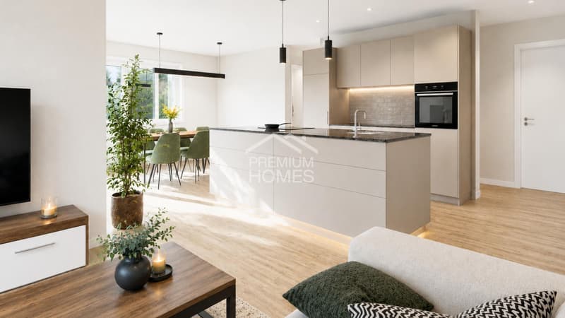 NEUBAU: 4.5 Zimmer Wohnung mit grosszügigem Balkon (3)